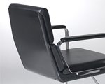 Gloss-Black fibreglass backrest shell